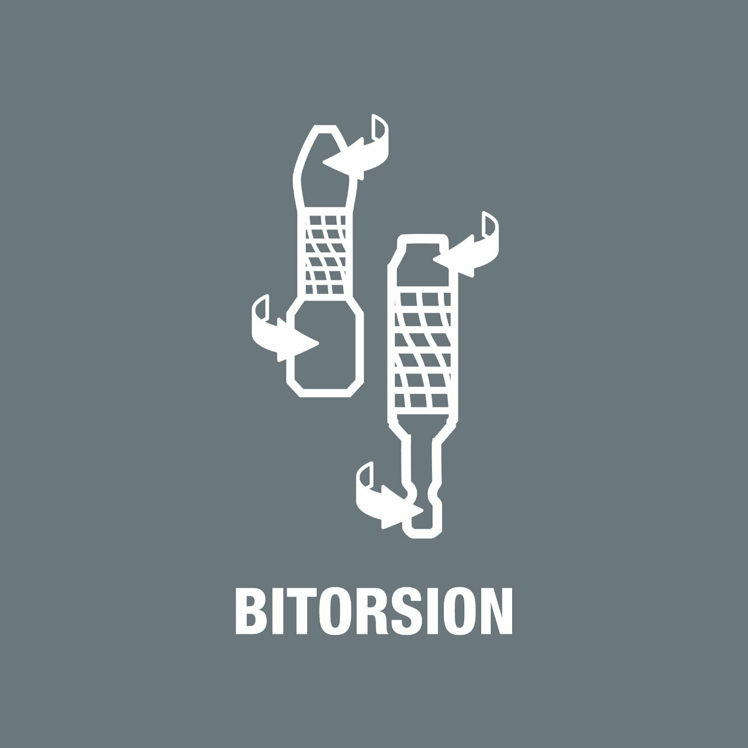 Wera 05053923001 Rapidaptor BiTorsion Universal Bit Holder