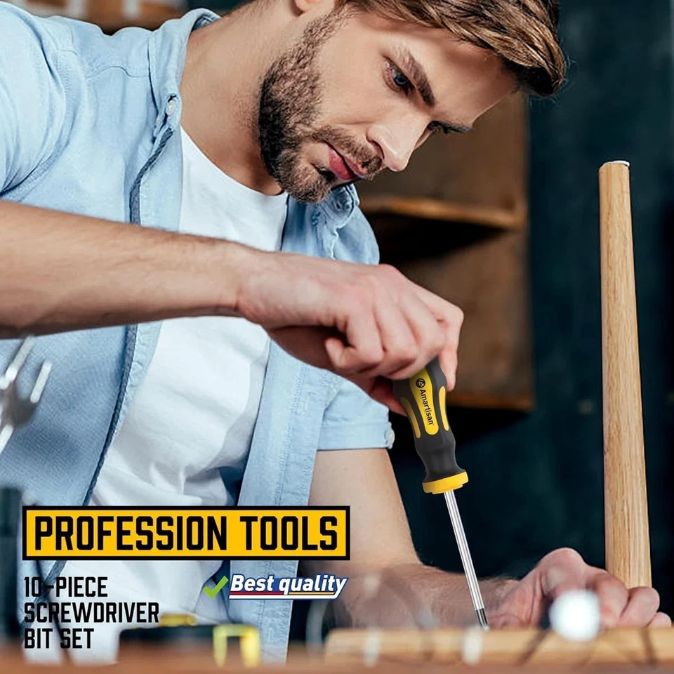 10piece Magnetic Screwdrivers Set 5 Phillips And 5 Slotted Tips Professional Cus