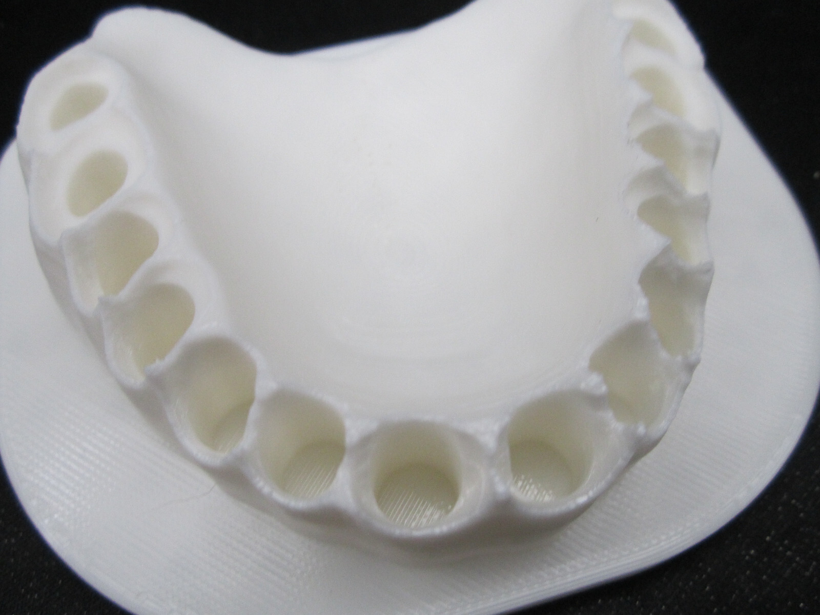 Screwdriver Bit Holder Novelty Bits for Teeth (Bits not Included)