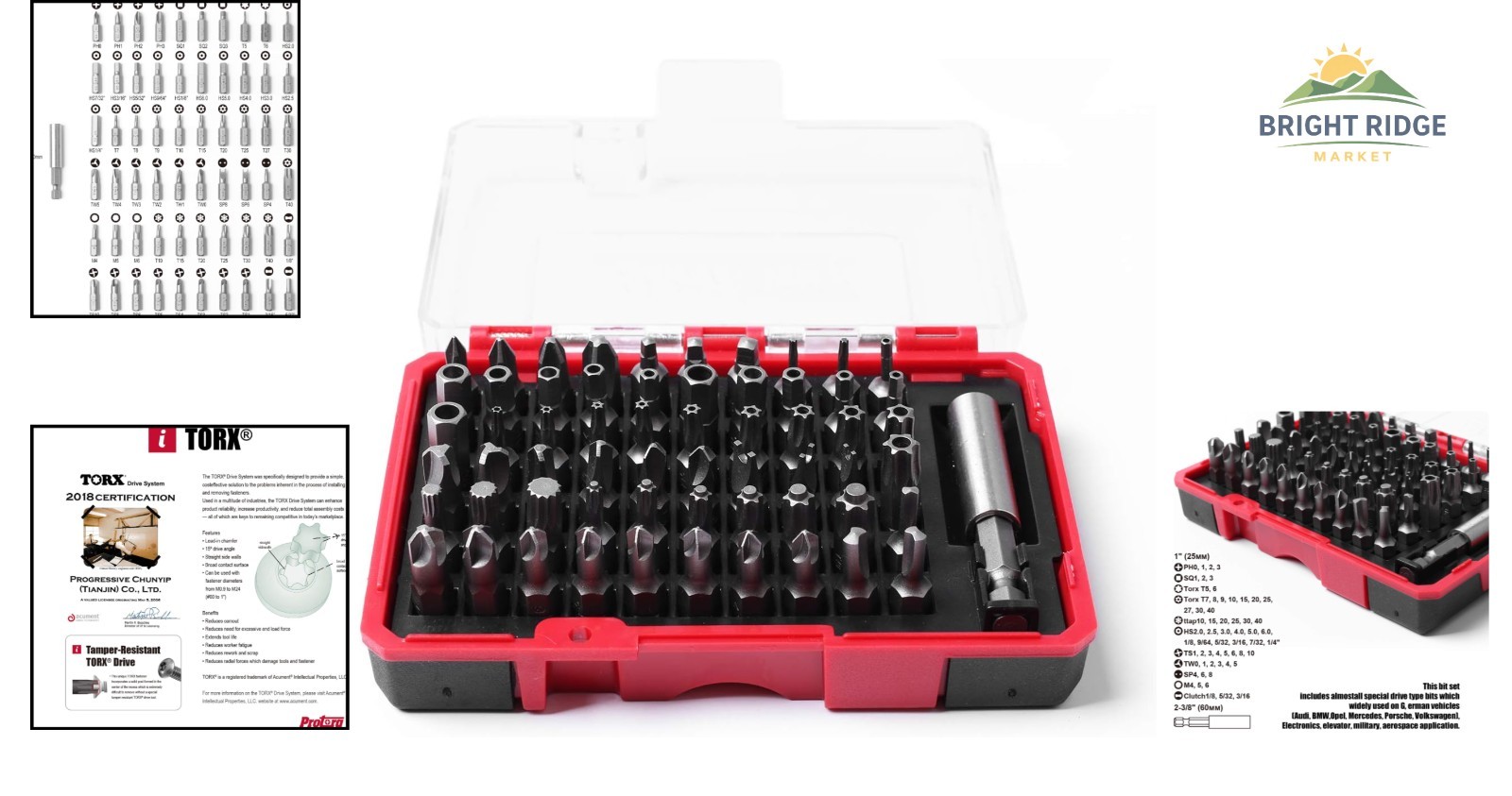 Versatile 61-Piece Bit Set with Phillips, Torx and Spline for All Applications