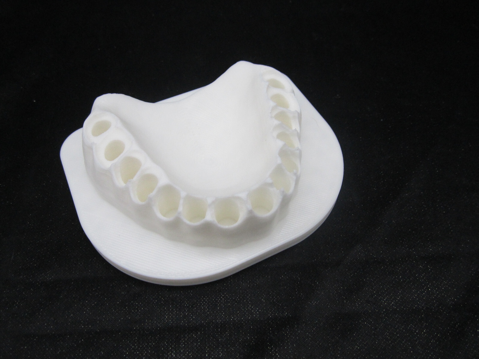 Screwdriver Bit Holder Novelty Bits for Teeth (Bits not Included)