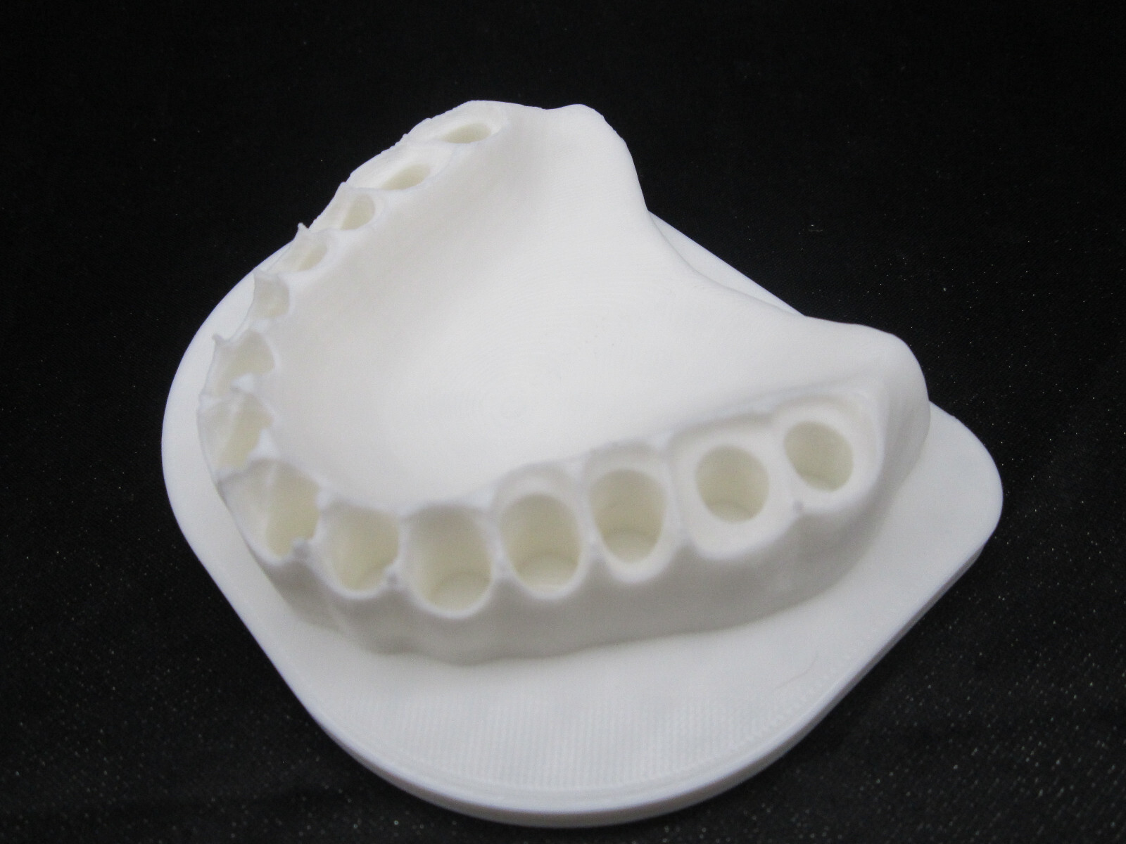 Screwdriver Bit Holder Novelty Bits for Teeth (Bits not Included)