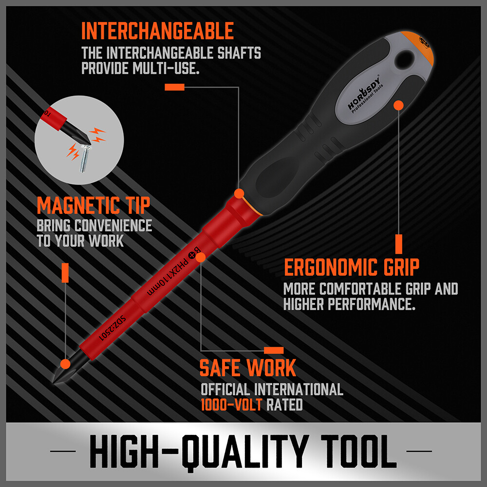 1000V Insulated Screwdriver Set 10Pcs Interchangeable magnetic Tips Electricion
